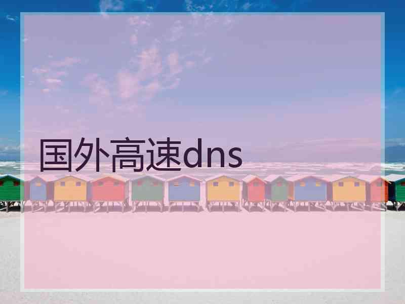 国外高速dns