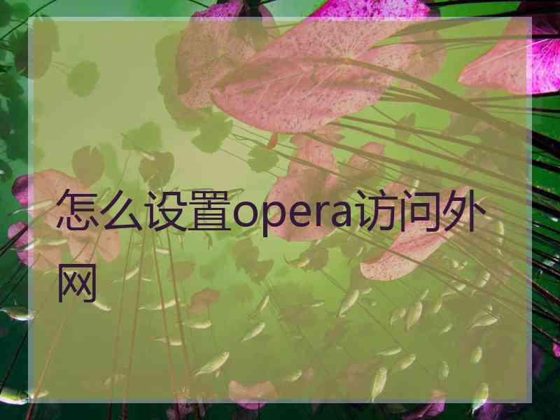 怎么设置opera访问外网