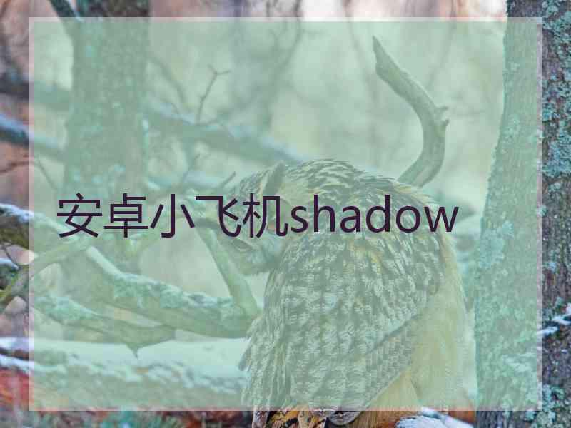 安卓小飞机shadow
